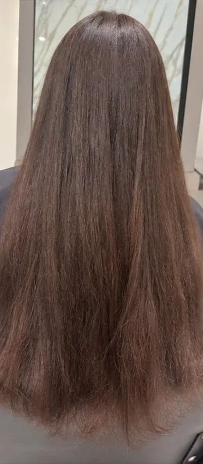 Before: washed and dried brown hair with dull ends